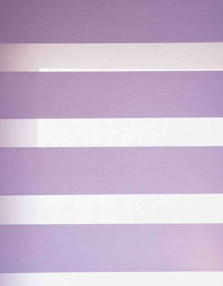 Lilac Shade Zebra Blinds
