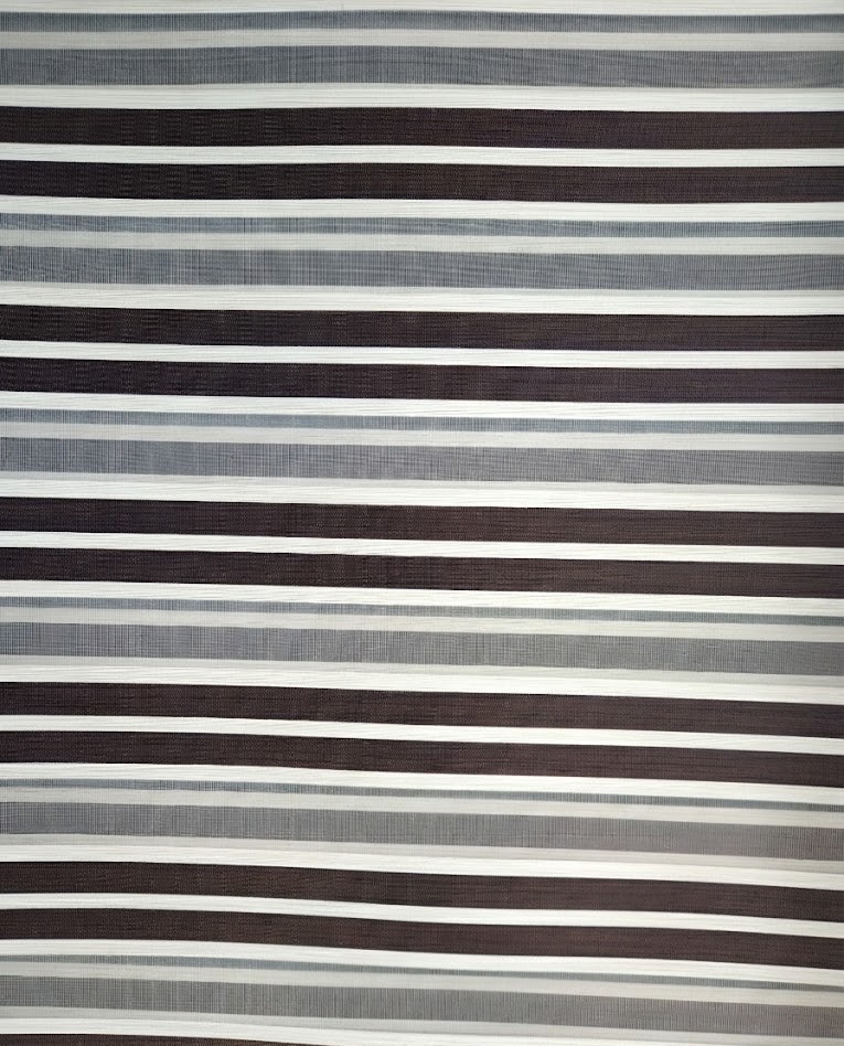 Duo Shade Venetian zebra blinds