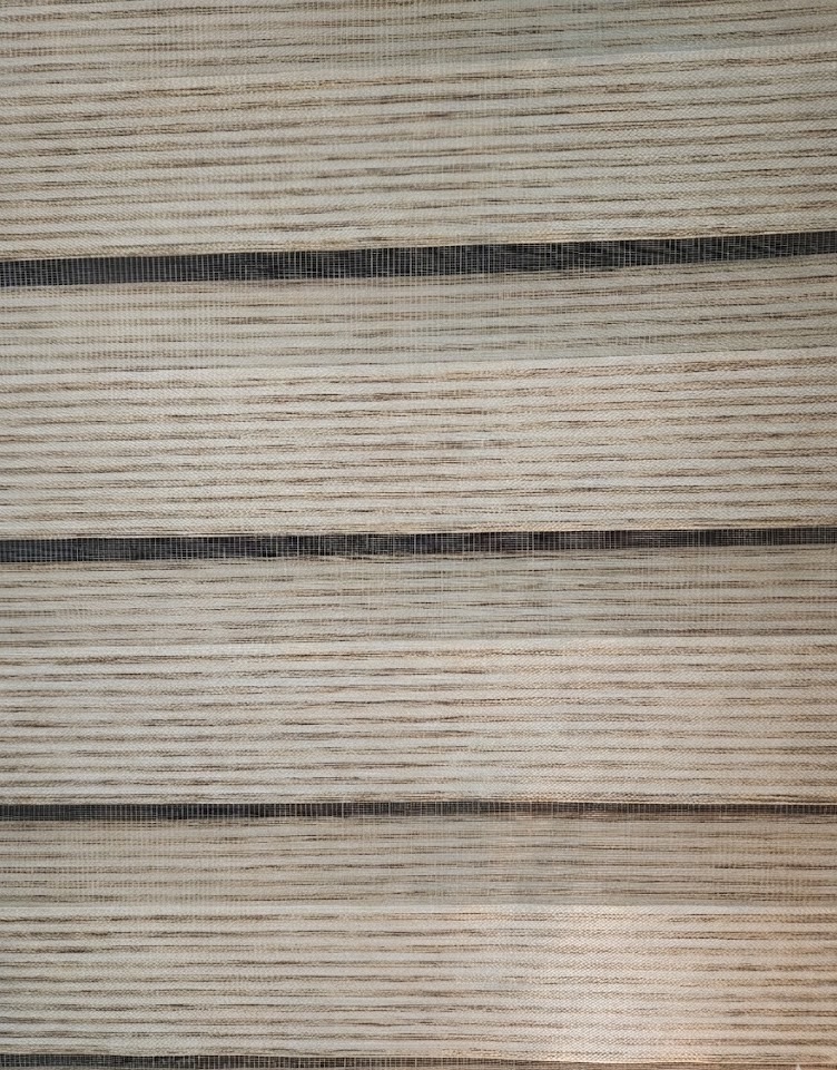 Layered Shades Zebra Blinds